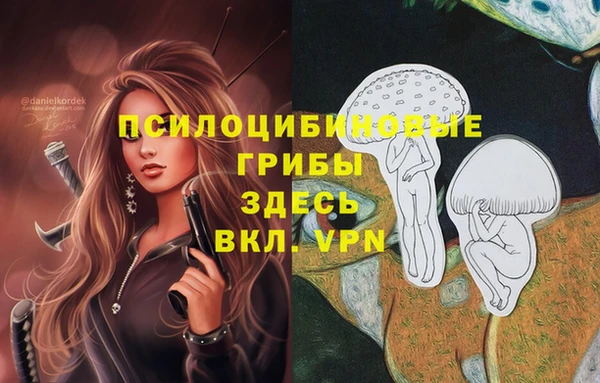 хмурый Алексин
