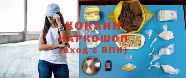 хмурый Алексин