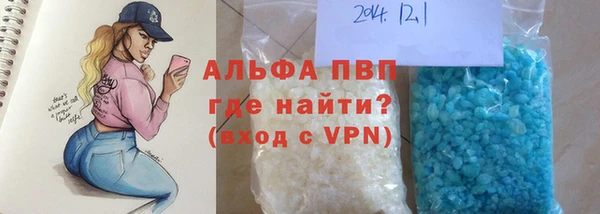 хмурый Алексин