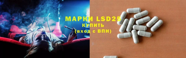 хмурый Алексин
