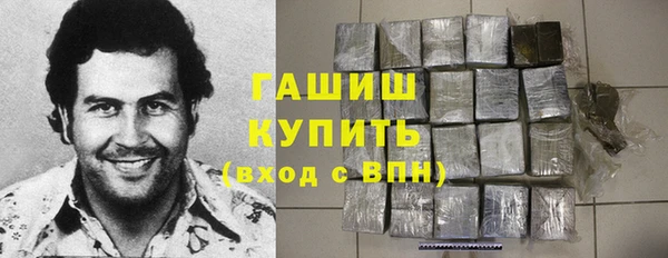 хмурый Алексин